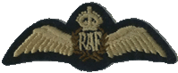 RAF Pilot Wings