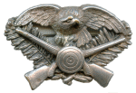 Combat Rifle Badge